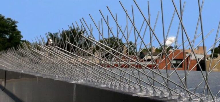 Bird & Pigeon Spikes in Hyderabad