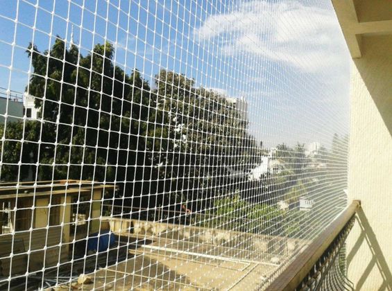 Pigeon Nets Fixing Price in Hyderabad